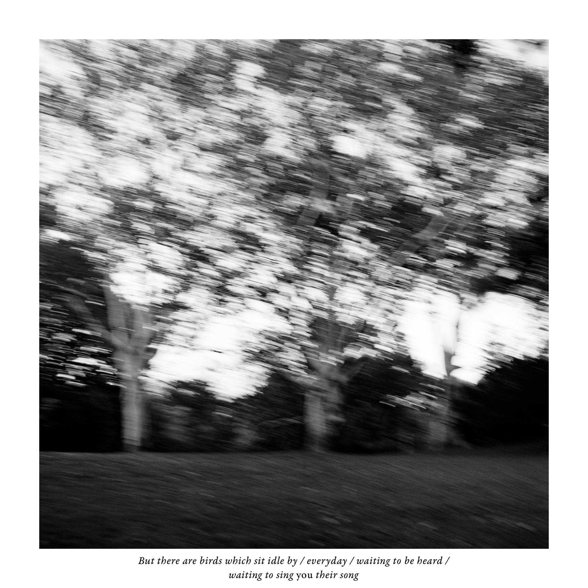 An Aged Babe Sees the Beaming Sun Above